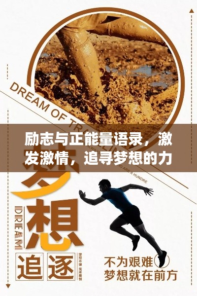 第240页