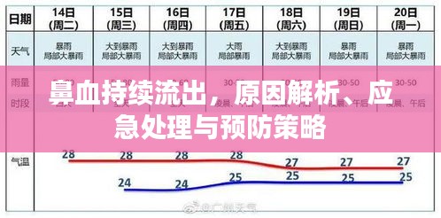 鼻血持续流出，原因解析、应急处理与预防策略