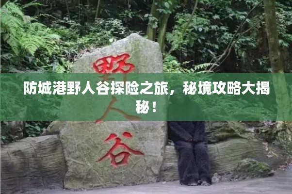 落土飞岩