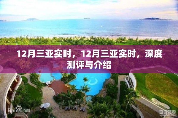 第1178页