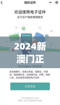 2024新澳门正版免费正题,高效实施方法解析_进阶款3.958