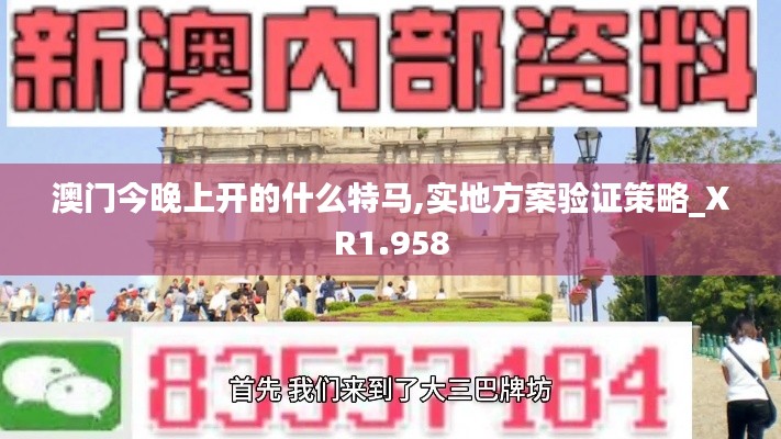 澳门今晚上开的什么特马,实地方案验证策略_XR1.958