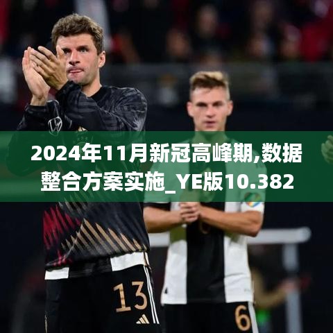 2024年11月新冠高峰期,数据整合方案实施_YE版10.382