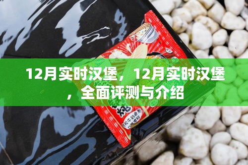 全面评测与介绍，12月实时汉堡