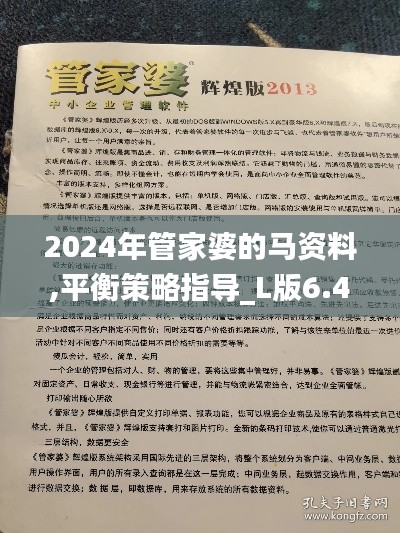 2024年管家婆的马资料,平衡策略指导_L版6.426