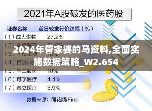 2024年管家婆的马资料,全面实施数据策略_W2.654