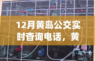 物是人非 第3页