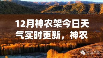 容光焕发 第2页