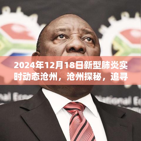 沧州新型肺炎实时动态与探寻自然美景之旅，拥抱宁静微笑
