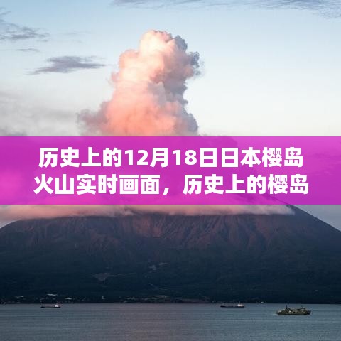 第949页