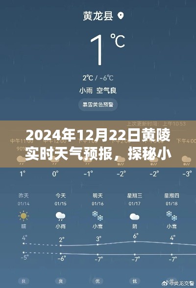 无冬无夏 第2页