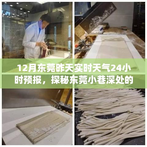 探秘东莞小巷深处的天气秘境，特色小店实时故事与天气预报