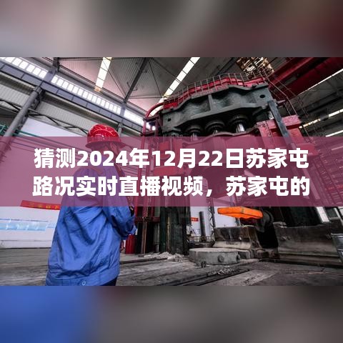 苏家屯路况实时直播，探索神秘小巷的特色小店，预测未来路况之旅