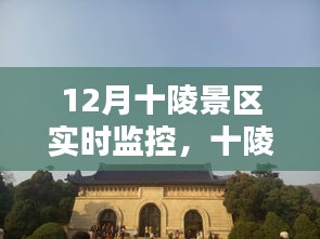 十陵景区12月实时监控攻略，初学者与进阶用户的全方位教程