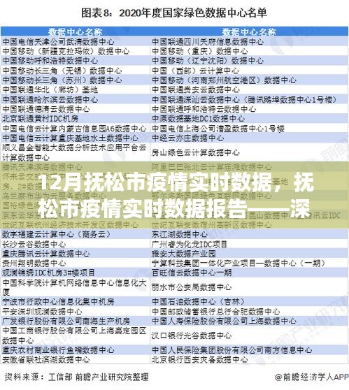 抚松市疫情实时报告，深度解析12月疫情现状数据