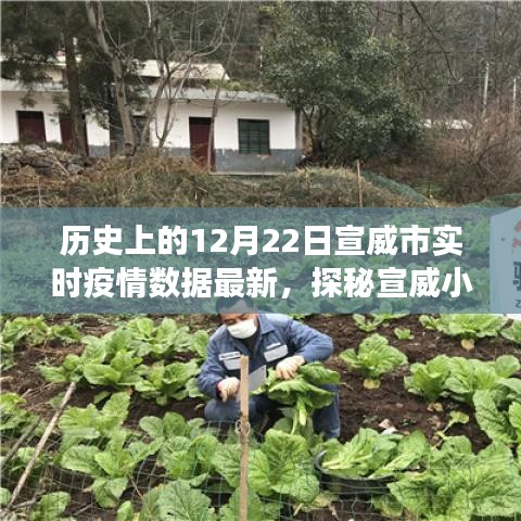 宣威市实时疫情数据更新，十二月二十二日特色环境之旅与小店的探秘之旅