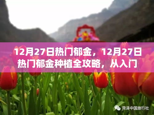 鸟革翬飞 第2页