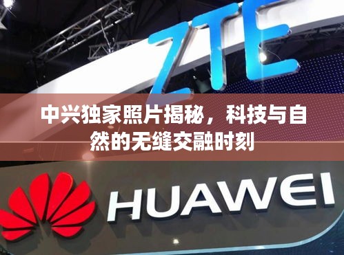 中兴独家照片揭秘，科技与自然的无缝交融时刻