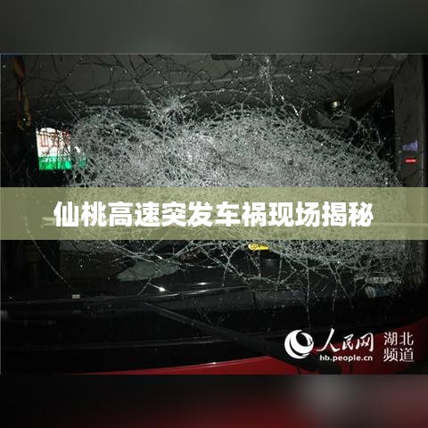 仙桃高速突发车祸现场揭秘