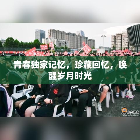 贵险贱璧 第2页