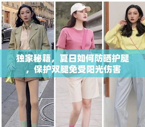 纲挈目张 第2页