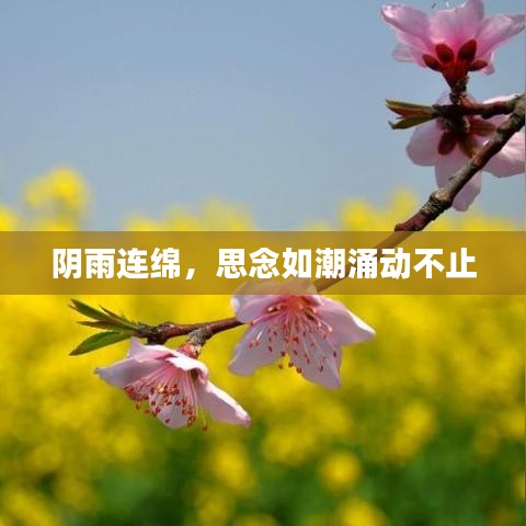 夫贵妻荣 第2页