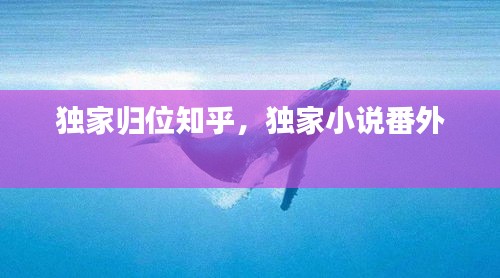 独家归位知乎，独家小说番外 