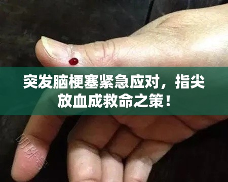 橘虞初梦 第2页