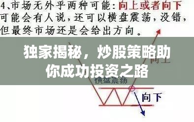 独家揭秘，炒股策略助你成功投资之路
