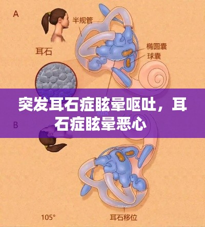 倦鸟思归 第2页