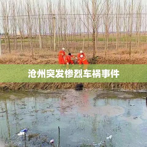 沧州突发惨烈车祸事件