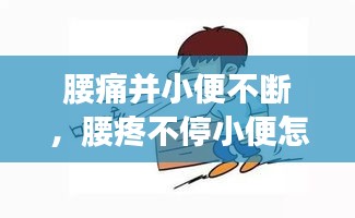 腰痛并小便不断，腰疼不停小便怎么回事 