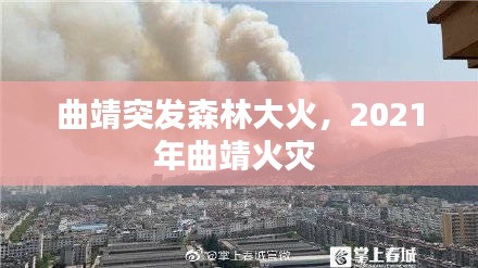 曲靖突发森林大火，2021年曲靖火灾 