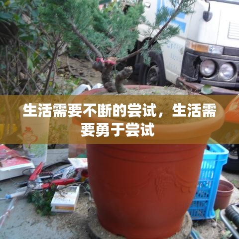 生活需要不断的尝试，生活需要勇于尝试 