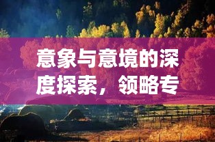 意象与意境的深度探索，领略专题魅力