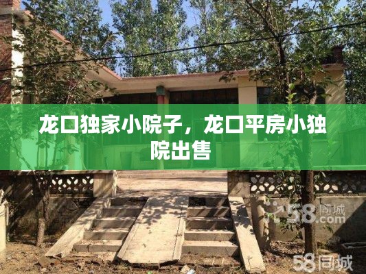 不求甚解 第2页
