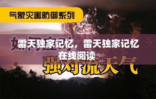 雷天独家记忆，雷天独家记忆在线阅读 