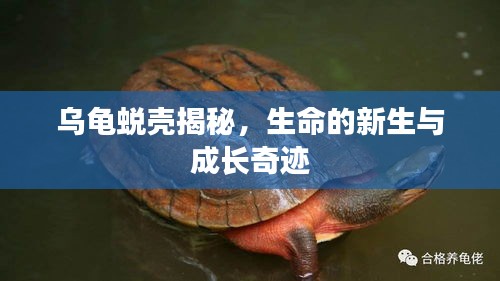 艰苦卓绝 第2页