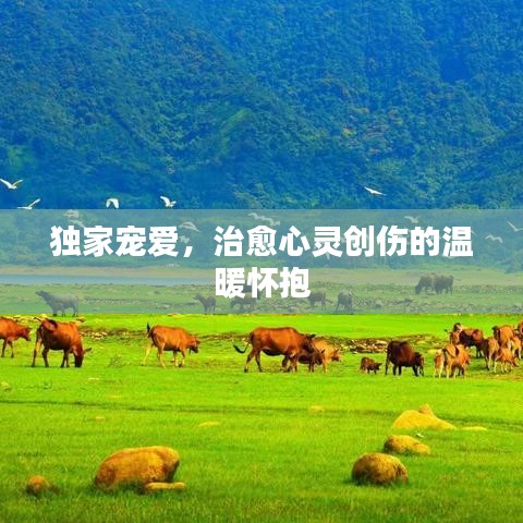 推襟送抱 第2页