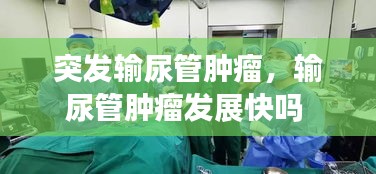 就地取材 第2页