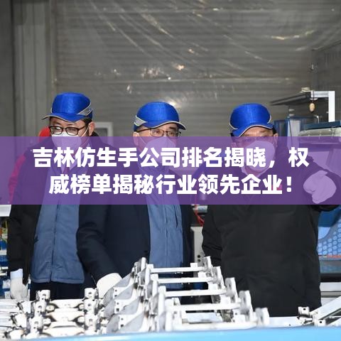 吉林仿生手公司排名揭晓，权威榜单揭秘行业领先企业！