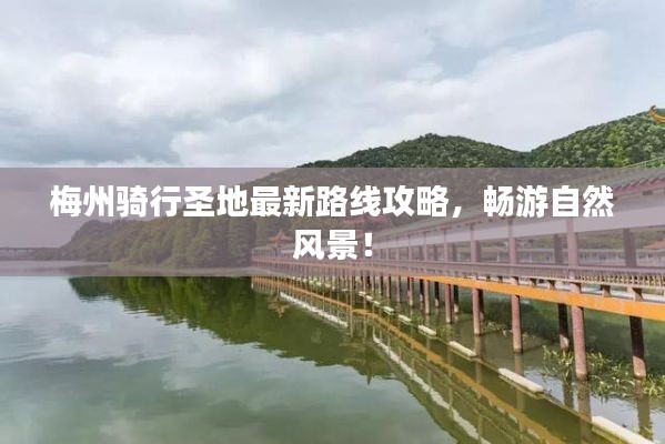 穷鸟入怀 第2页