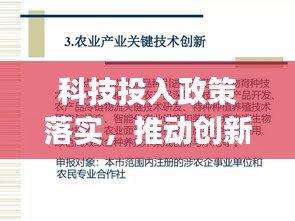 科技投入政策落实，推动创新发展的关键之策