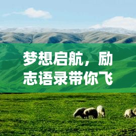 梦想启航，励志语录带你飞向成功之巅