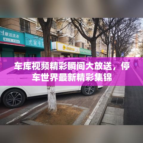 车库视频精彩瞬间大放送，停车世界最新精彩集锦