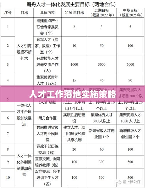 人才工作落地实施策略