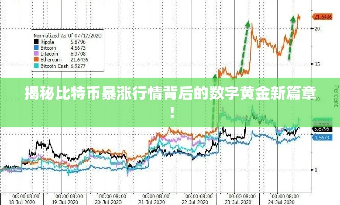揭秘比特币暴涨行情背后的数字黄金新篇章！