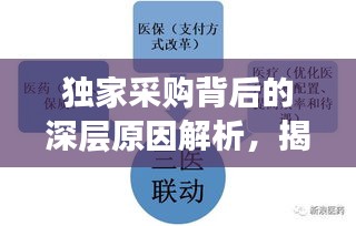 独家采购背后的深层原因解析，揭秘设备采购背后的因素