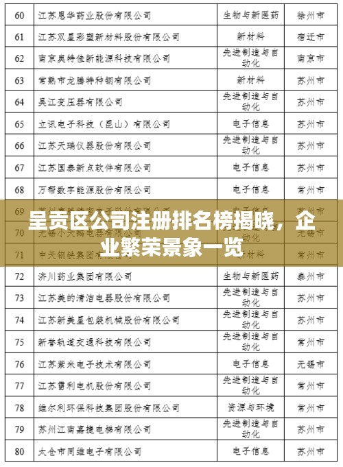 呈贡区公司注册排名榜揭晓，企业繁荣景象一览