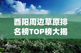 酉阳周边草原排名榜TOP榜大揭秘！最新排名榜单来袭！